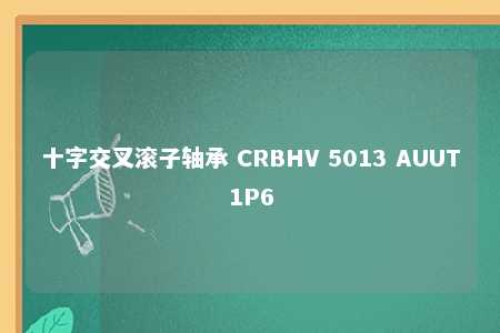 十字交叉滚子轴承 CRBHV 5013 AUUT1P6 