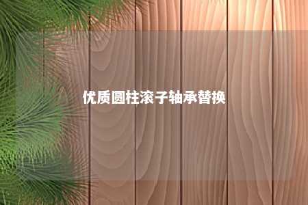 优质圆柱滚子轴承替换 