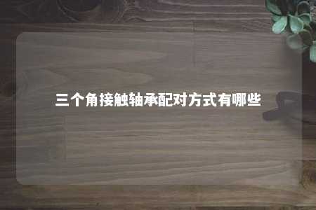 三个角接触轴承配对方式有哪些 
