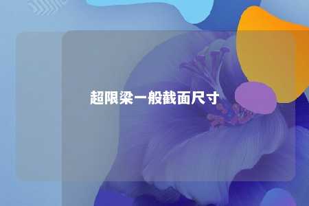 超限梁一般截面尺寸 