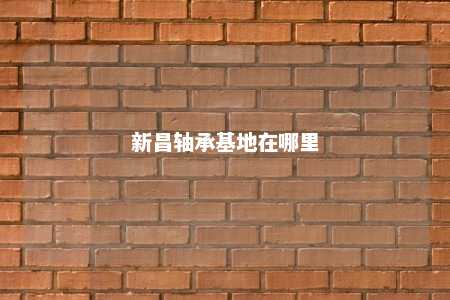 新昌轴承基地在哪里 