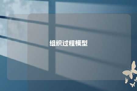 组织过程模型 